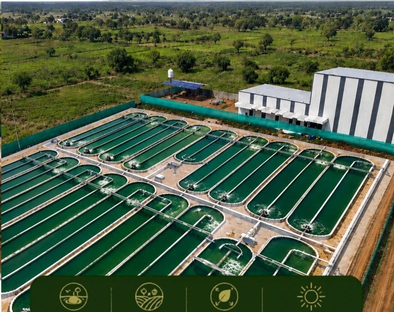 Aerial view of Nutrialgo spirulina raceway ponds and processing facility, Tamil Nadu