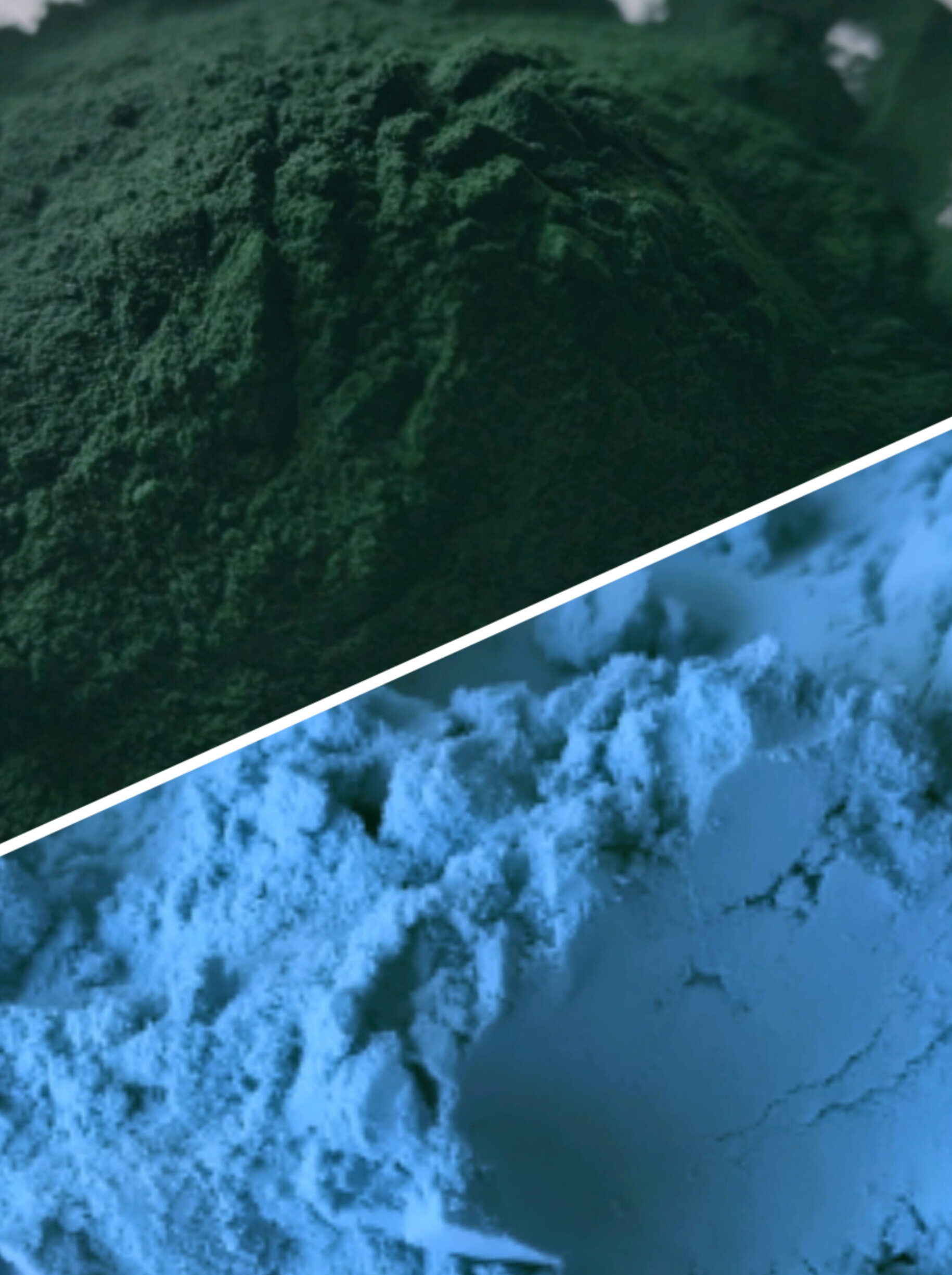 Graded phycocyanin, documented