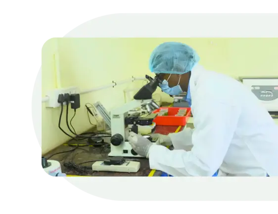 Microscopy in the Nutrialgo lab