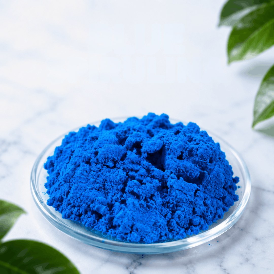 Phycocyanin blue pigment in a glass dish