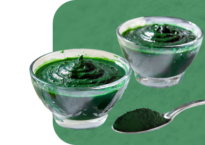 Fresh spirulina puree